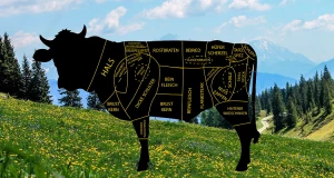Die Fleischteile vom Rind
